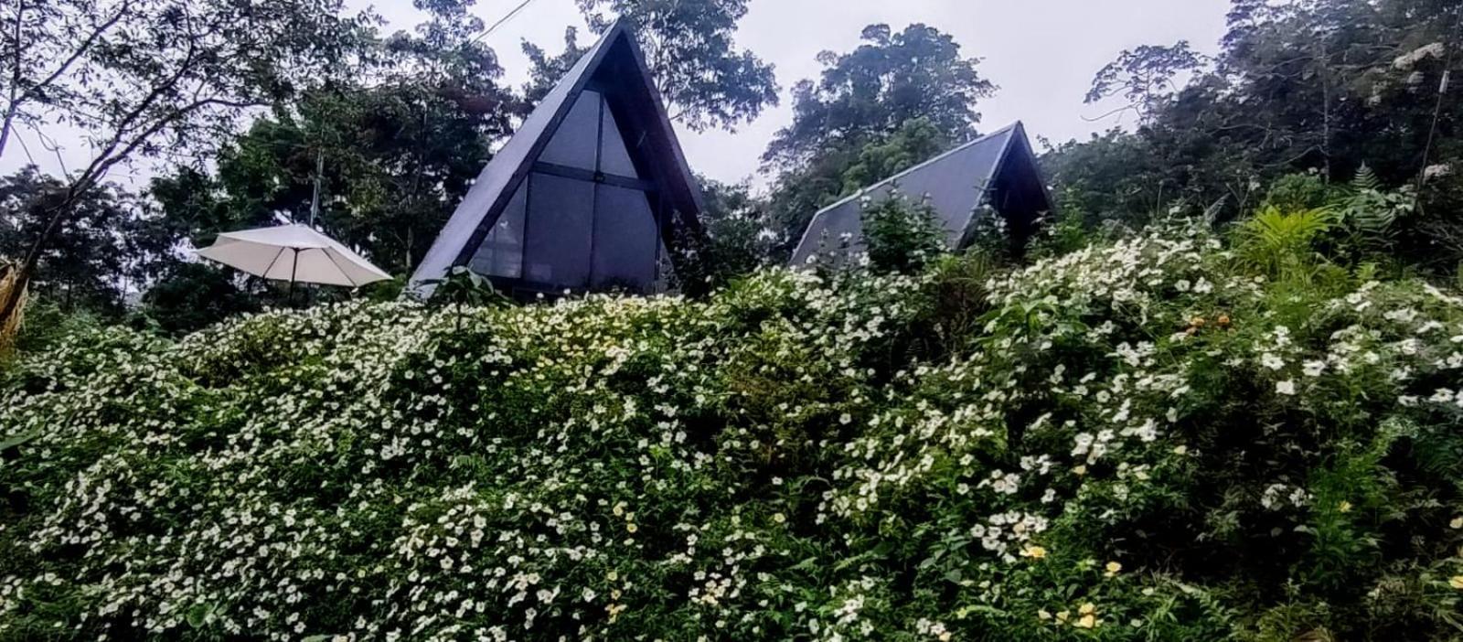 Yarumo Lodge, Rio Celeste Black Chalets Bijagua Bagian luar foto