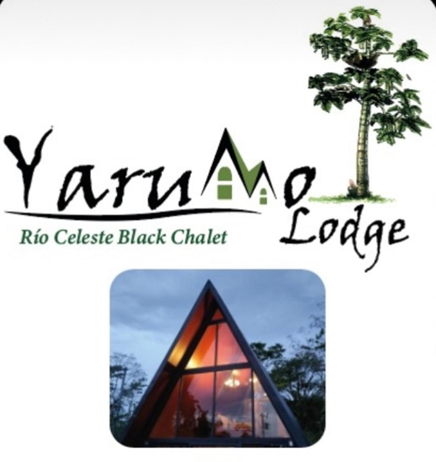Yarumo Lodge, Rio Celeste Black Chalets Bijagua Bagian luar foto